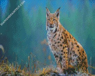 lynx animal diamond paintings