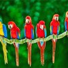 macaw birds diamond painting