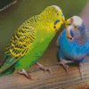 parakeet birds diamond paintings