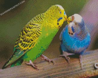 parakeet birds diamond paintings