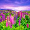 purle and pink Lupins diamond painting