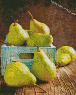 vintage pears diamond paintings