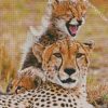 Cheetah And Young Cub diamond painting