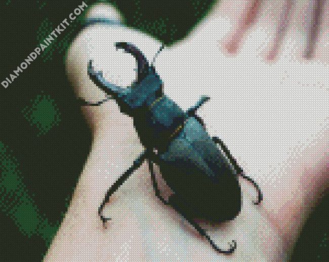 Black Beetle On Hand diamond painting