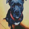 Black Staffordshire Bull Terrier diamond painting