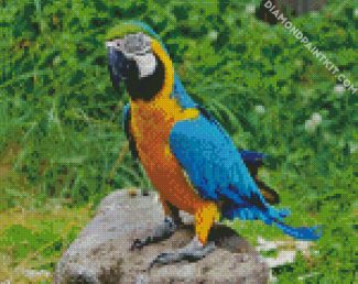 Blue And Gold Macaw diamond painting
