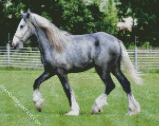 Grey Shire Horse diamond painting