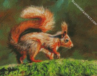 Red Squirrel On Branch diamond painting