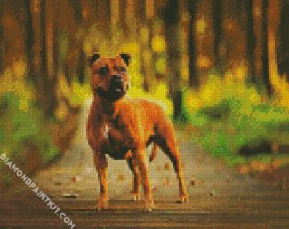 Staffordshire Bull Terrier Dog diamond painting