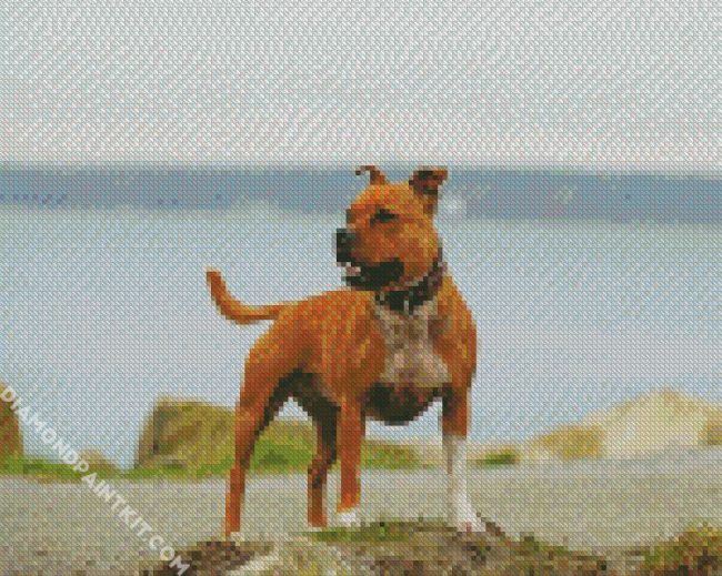 The Staffordshire Bull Terrier Dog diamond painting