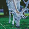 White Deer Eating Grass diamond painting