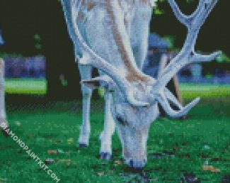 White Deer Eating Grass diamond painting