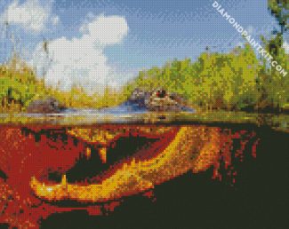 Alligator In The Everglades diamond paintings