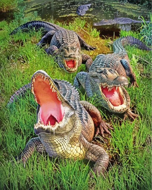 Alligators diamond painting