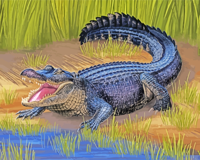 American Alligator diamond painting