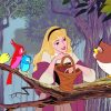 Aurora Princess And Bird diamond painting