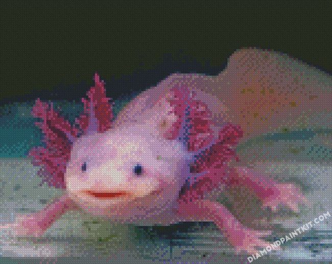 Axolotl diamond paintings