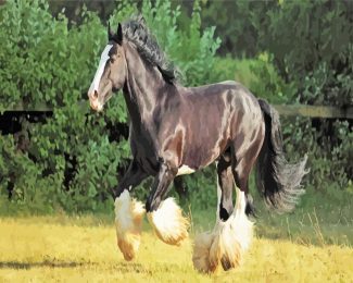 Black Shire Horse diamond painting