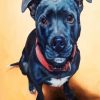 Black Staffordshire Bull Terrier diamond painting