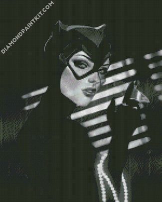 Black and White Catwoman diamond paintings