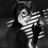 Black and White Catwoman diamond painting