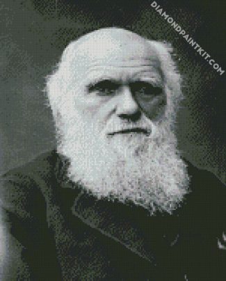 Black And White Charles Darwin diamond painting