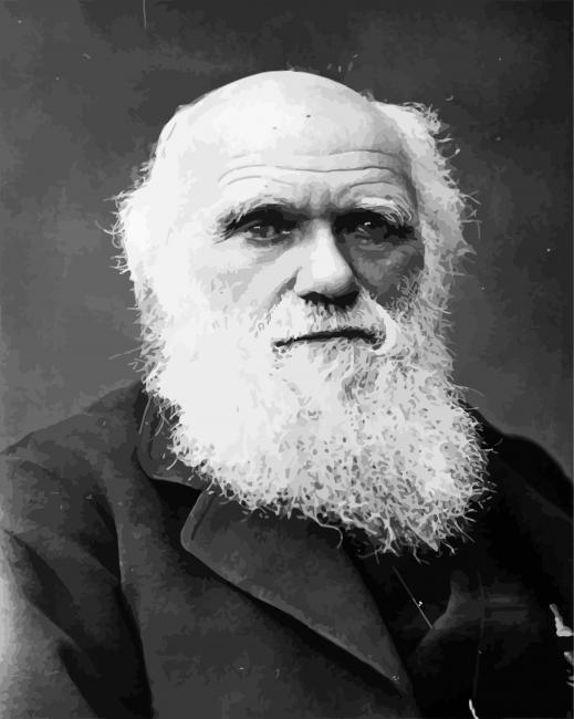 Black And White Charles Darwin diamond painting