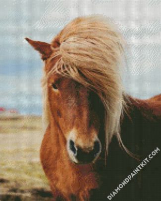 Blonde Pony Horse diamond painting