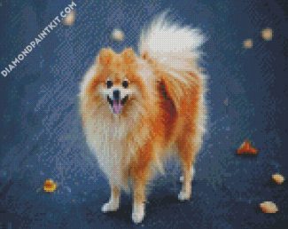 Blonde Pomeranian Dog diamond painting