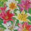 Blooming Colorful Lilies diamond paintings