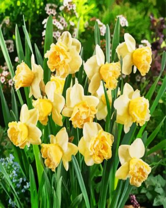 Blooming Daffodils Plant diamond painting