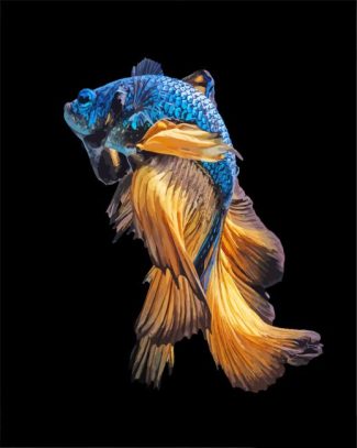 Blue Gold Siamese Fish diamond painting
