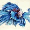 Blue Siamese Fish diamond painting