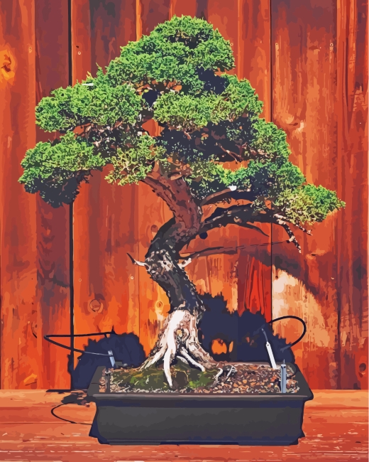 Bonsai Tree diamond painting