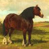 Brown Shire Horse diamond painting