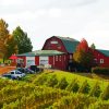 Carter Mountain Orchard And Country Store diamond painting