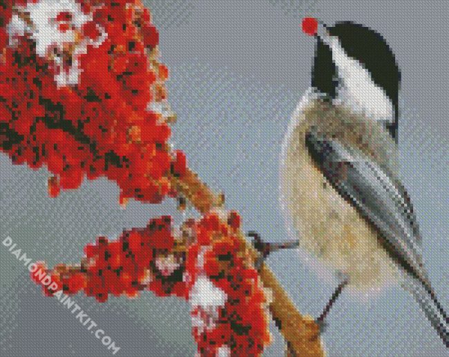 Chickadee Bird Eating diamond painting