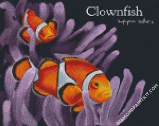 ClownFish diamond Painting