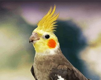 Cockatiel Bird diamond painting