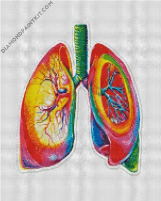 Colorful Lungs diamond painting