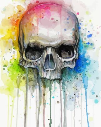 Colorful Skull Art diamond painting