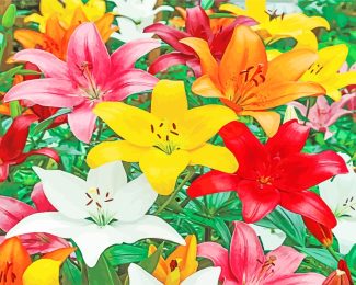 Colorful lilies diamond painting