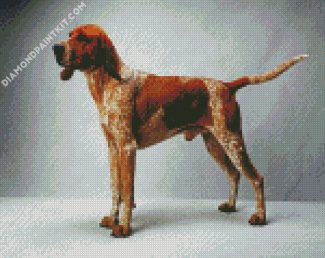 Coonhound dog diamond paintings