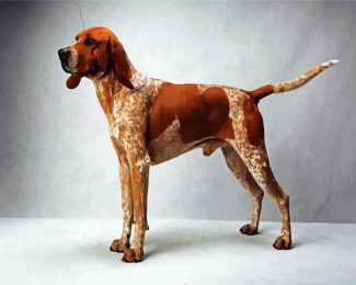 Coonhound dog diamond painting