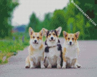 Corgis Puppies Animal diamond painting