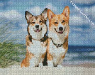 Corgis Puppies Animals diamond painting