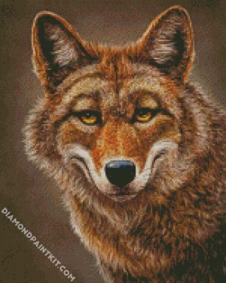 Coyote Face diamond painting