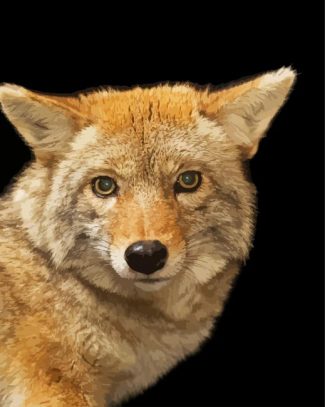 Coyote face diamond painting