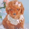 Cute Brown Poodle diamond painting