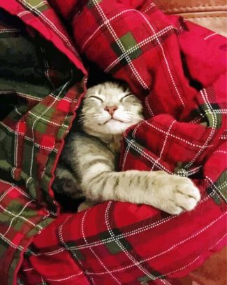 Cute Cat Sleeping In A Blanket diamond painting